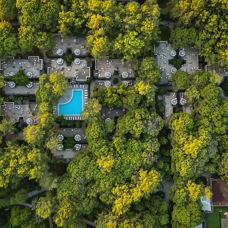 Balmy Foresta Beldibi  Exteriér fotografie