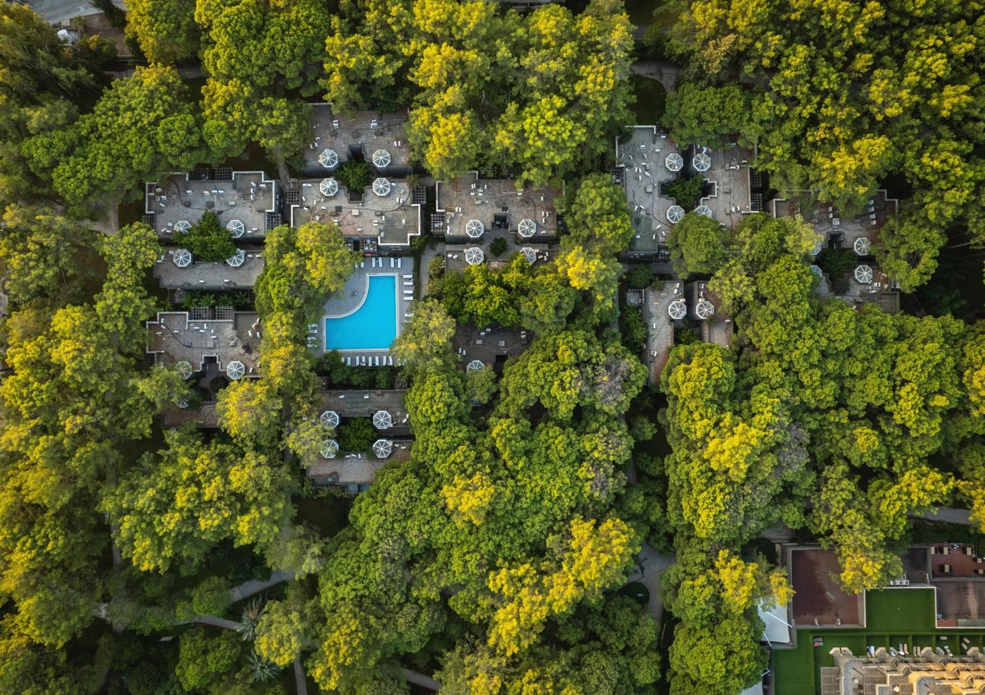 Balmy Foresta Beldibi  Exteriér fotografie
